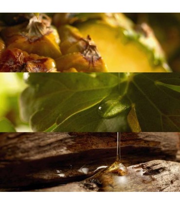 مام دئودورانت مردانه گریتر