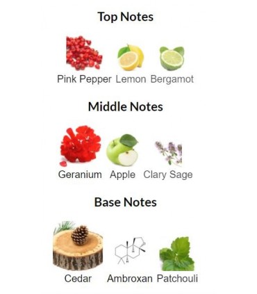 پرفیوم مردانه سیگنیچر Perfum Signature