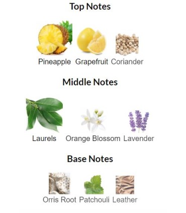 ادوتویلت مردانه پوزس