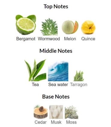 ادوتویلت مردانه اکسایت