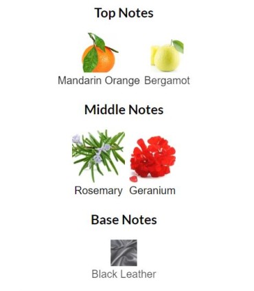 ادوپرفیوم مردانه اکلت نوئت