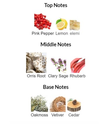 ادوتویلت مردانه سیگنیچر جنریشن