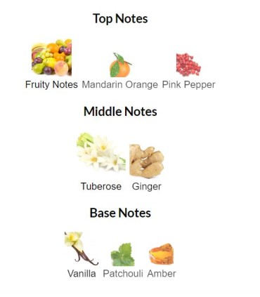 پرفیوم زنانه آل اور ناتینگ امپلیفاید