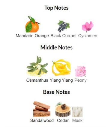 ادوتویلت زنانه اسمانتوس اینفیوژن