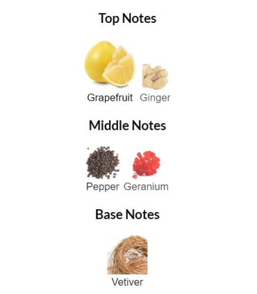 ادوتویلت مردانه مستر جوردانی