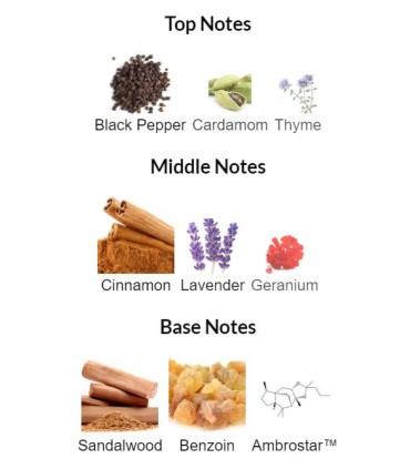 ادوپرفیوم مردانه پوزس ابسولوت