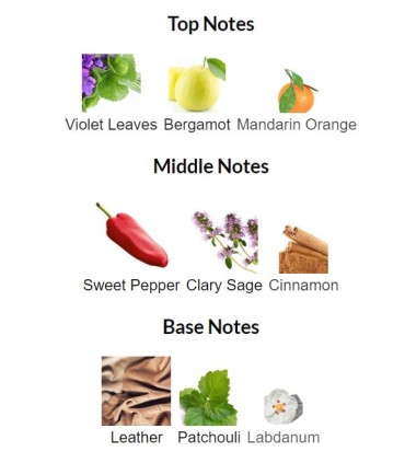 ادوتویلت مردانه سوفیور توگدر