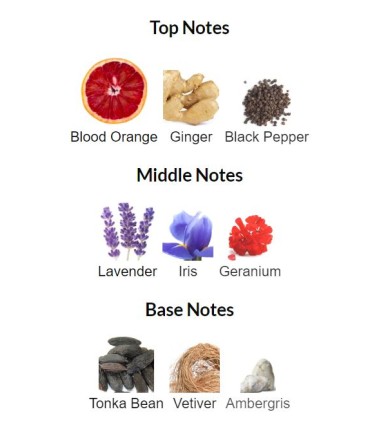 ادوتویلت مردانه بی د وایلد لجند