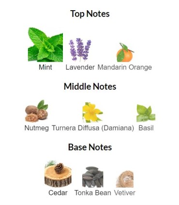 ادوتویلت مردانه ونچر