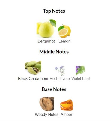 ادوتویلت مردانه ونچر پاور