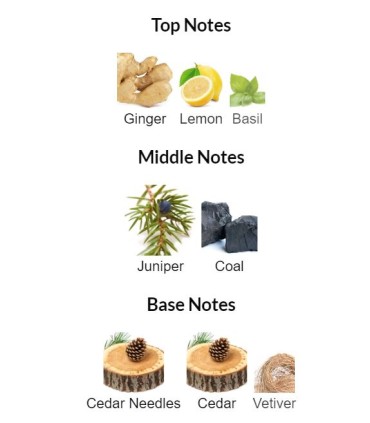 ادوتویلت مردانه گلشیر اکستریم