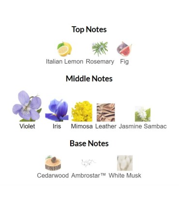 ادوتویلت زنانه چارمینگ ویولت