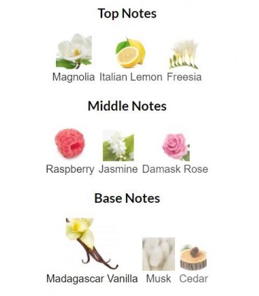 پرفیوم زنانه آل ار ناتینگ 