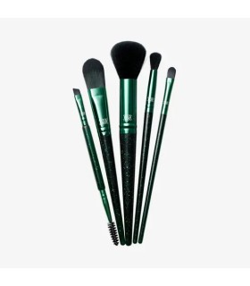 پک پنج تایی قلم موی هیدن جمز