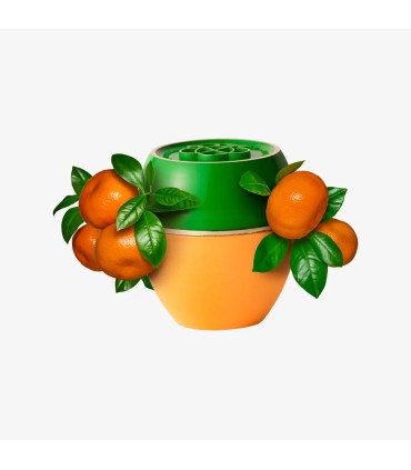 تندرکر نارنگی ماندارین