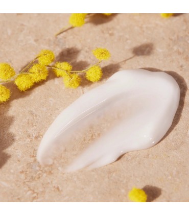 کرم دست ری آف سان شاین