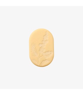 صابون ری آف سان شاین