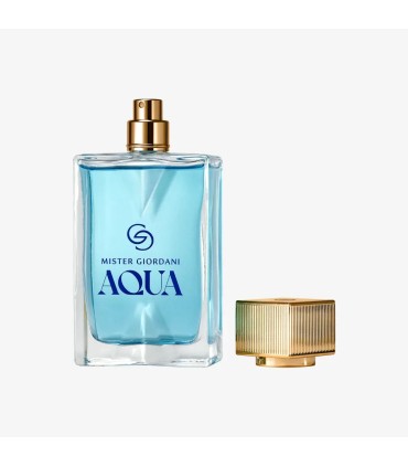 ادوپرفیوم مردانه مستر جوردانی آکوا
