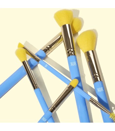 پک شش تایی قلم موی سان کیسد