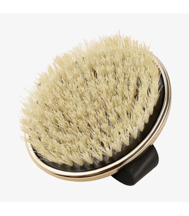 برس خشک بدن گلدن اکسکلوسیو