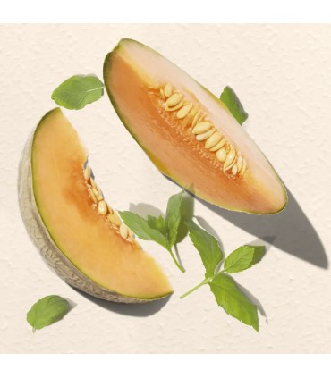 اسپری پای ملون و نعنا فیت آپ