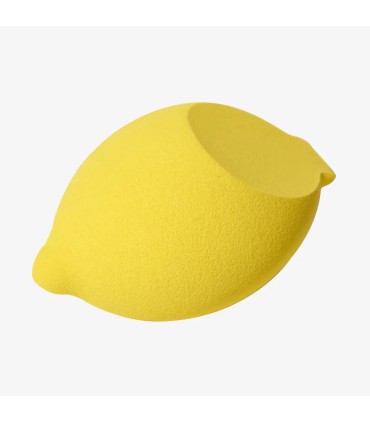 اسفنج آرایشی سان کیسد