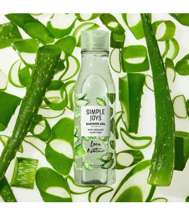 شامپو بدن ژلی آلوئه ورا جوی لاونیچر