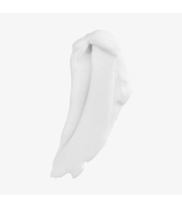 فوم اصلاح و پاکسازی نورث فورمن جوردانی گلد