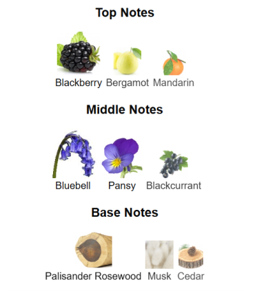 ادوتویلت زنانه الوی میدنایت مجیک (آسیب دیده)