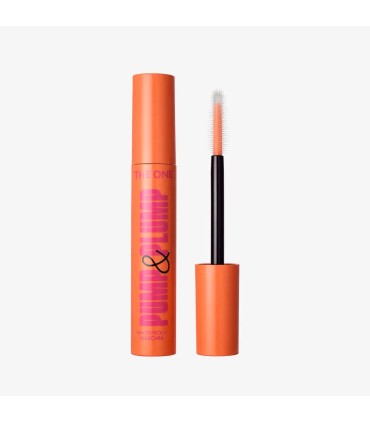 ریمل ضدآب پامپ اند پلامپ دوان