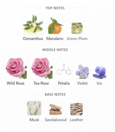 ادوپرفیوم رز مود تاپ سنتس