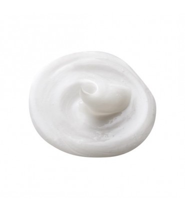 شامپو محافظت کننده ودر رزیست هیریکس  HairX Weather Resist