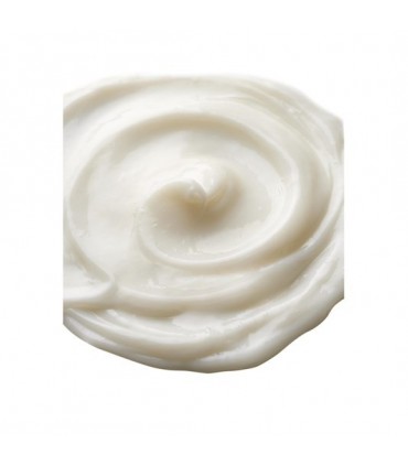 نرم کننده محافظت کننده ودر رزیست هیریکس HairX Weather Resist