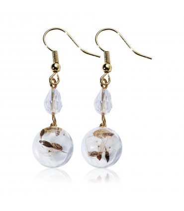 گوشواره الوی سامر جوی Elvie Summer Joy