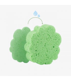 اسفنج پاک کننده 