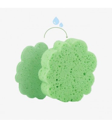 اسفنج پاک کننده 