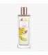 ادوتویلت زنانه پادری میموزا Powdery Mimosa