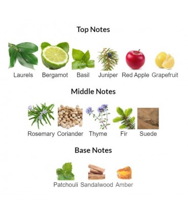 ادوتویلت مردانه سول