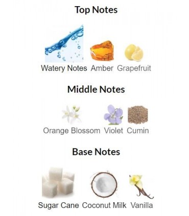 ادوکلن امبر الکسیر کریستال Amber Elixir Crystal