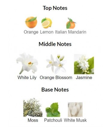 ادوکلن زنانه جوردانی گلد اوریجینال