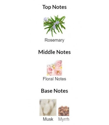 ادوپرفیوم زنانه وایلد هارتز سوئدیش اکسپرینس SE Wild Hearts