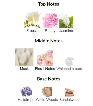 پرفیوم زنانه آل اور ناتینگ یونیک آکورد