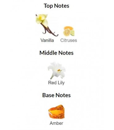 ادوکلن امبر الکسیر میستری