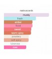 قلم تتوی ابروی دوان