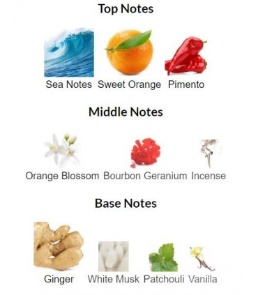 ادوتویلت مردانه سوفیور 