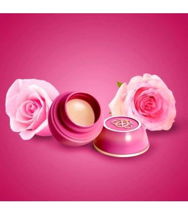 بالم محافظت کننده تندکر رز Tender care rose