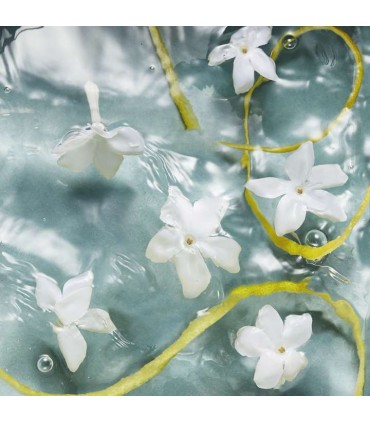 مام دئودورانت زنانه نوردیک واترز