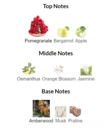 ادوپرفیوم زنانه پوزس ابسولوت