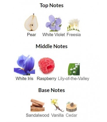 ادوتویلت زنانه اکلت آمور