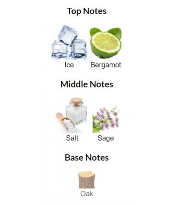 عطر پوزس سکرت مردانه 